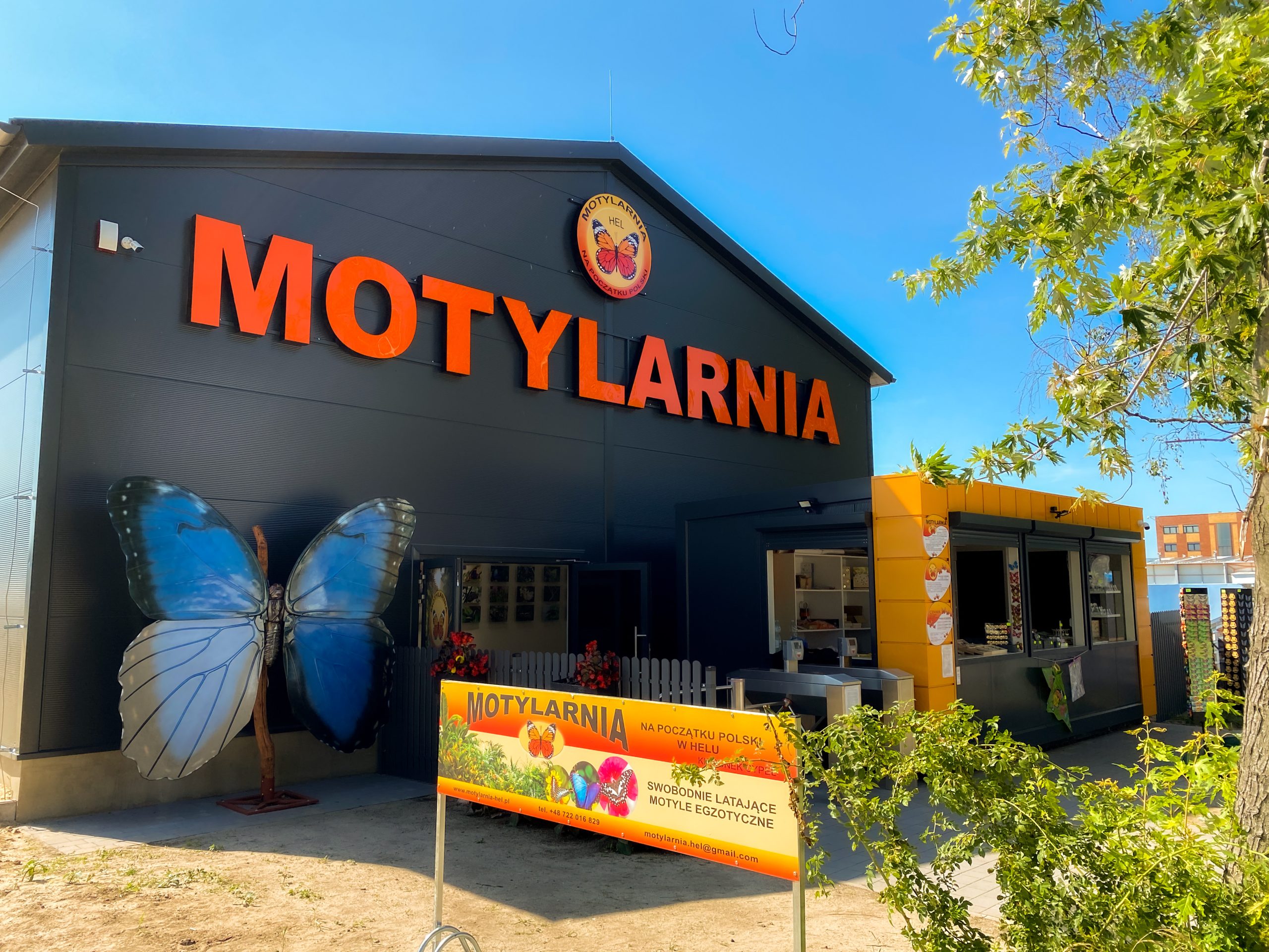 Motylarnia w Helu – kiedy najlepiej się wybrać i czego się spodziewać?