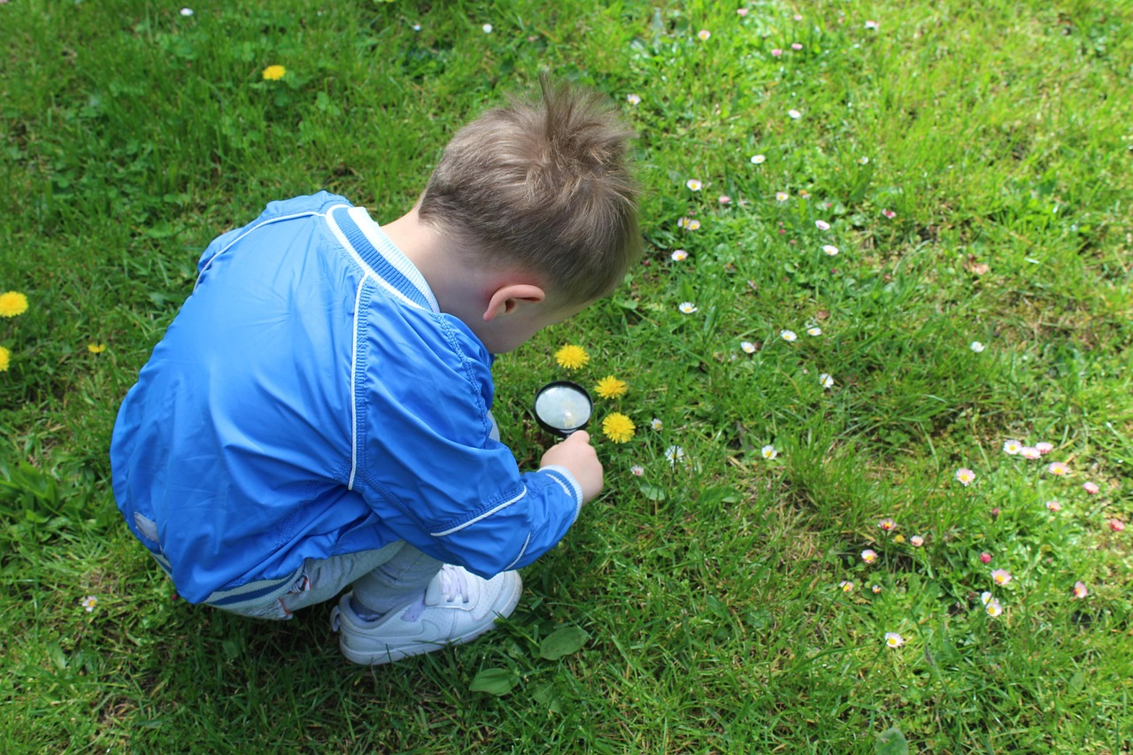Jak uczyć dzieci szacunku do przyrody? 5 prostych pomysłów na edukację ekologiczną
